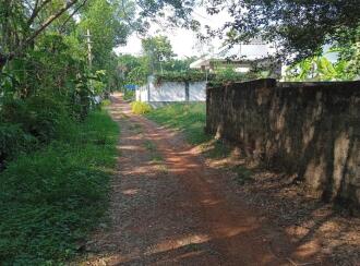 Residential Land for Sale in Ernakulam, Chottanikkara, Chottanikkara, Near Samskriti Residence