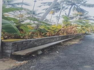 Residential Land for Sale in Thrissur, Thrissur, Urakam, Near Parappurath Kalari