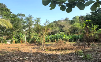 Residential Land for SaleThrissur, Amballoor, Kallur