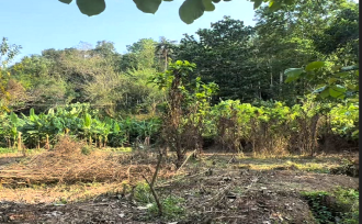 Residential Land for Sale in Thrissur, Amballoor, Kallur, Near St. Augustine Catholic Church, Vellanikode