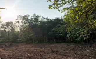 Residential Land for Sale in Thrissur, Amballoor, Kallur, Near St. Augustine Catholic Church, Vellanikode