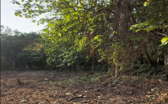 Residential Land for Sale in Thrissur, Amballoor, Kallur, Near St. Augustine Catholic Church, Vellanikode