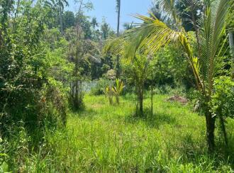 Residential Land for Sale in Alleppey, Cherthala, Kokkothamangalam, Velliyakulam