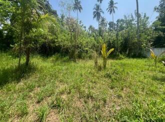 Residential Land for Sale in Alleppey, Cherthala, Kokkothamangalam, Velliyakulam
