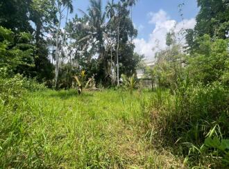 Residential Land for Sale in Alleppey, Cherthala, Kokkothamangalam, Velliyakulam