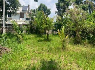 Residential Land for Sale in Alleppey, Cherthala, Kokkothamangalam, Velliyakulam