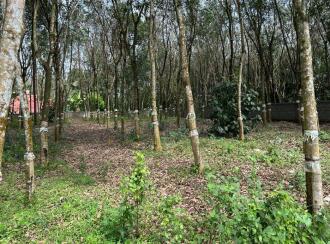 Residential Land, Pathanamthitta