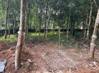 Residential Land for Sale in Pathanamthitta, Thiruvalla, Kizhakkanmuthoor, Bethelpadi