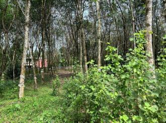 Residential Land for Sale in Pathanamthitta, Thiruvalla, Kizhakkanmuthoor, Bethelpadi