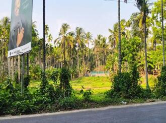 Residential Land for SaleMalappuram, Manjeri, Pandikkad