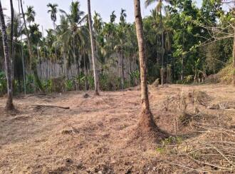 Residential Land for Sale in Malappuram, Manjeri, Pandikkad, Peruvakkad