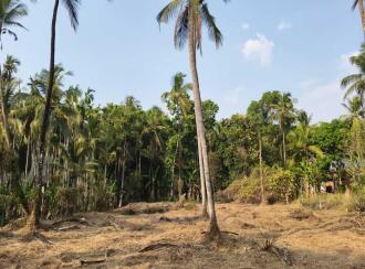 Residential Land for Sale in Malappuram, Manjeri, Pandikkad, Peruvakkad