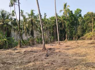 Residential Land for Sale in Malappuram, Manjeri, Pandikkad, Peruvakkad