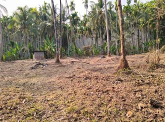 Residential Land for Sale in Malappuram, Manjeri, Pandikkad, Peruvakkad