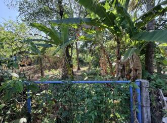 Residential Land for Sale in Thrissur, Vadanapally, Kandassamkadavu, Behind SH St. Mary's Girls High school, Plot between the two houses.