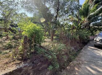 Residential Land for Sale in Thrissur, Vadanapally, Kandassamkadavu, Behind SH St. Mary's Girls High school, Plot between the two houses.