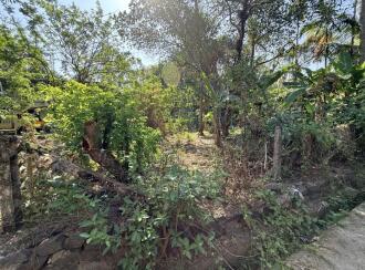 Residential Land for Sale in Thrissur, Vadanapally, Kandassamkadavu, Behind SH St. Mary's Girls High school, Plot between the two houses.