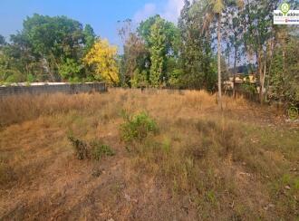 Residential Land for Sale in Ernakulam, Angamaly, Vengoor, Viswajyothi School