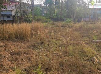 Residential Land for Sale in Ernakulam, Angamaly, Vengoor, Viswajyothi School