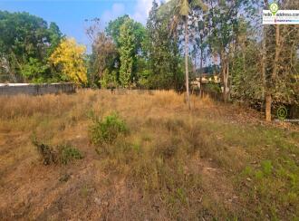 Residential Land for Sale in Ernakulam, Angamaly, Vengoor, Viswajyothi School
