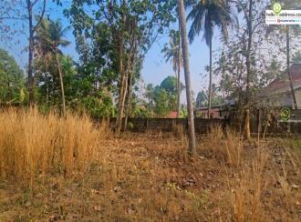 Residential Land for Sale in Ernakulam, Angamaly, Vengoor, Viswajyothi School