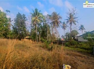 Residential Land for Sale in Ernakulam, Angamaly, Vengoor, Viswajyothi School