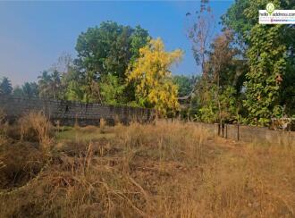 Residential Land for Sale in Ernakulam, Angamaly, Vengoor, Viswajyothi School