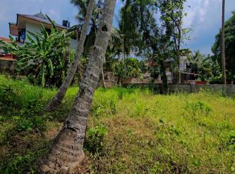 Residential Land for Sale in Alleppey, Chengannur, Pandanad, PANDANAD