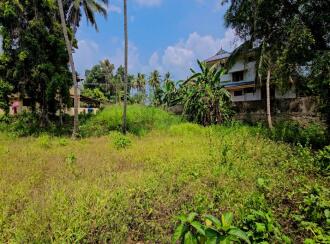Residential Land for Sale in Alleppey, Chengannur, Pandanad, PANDANAD