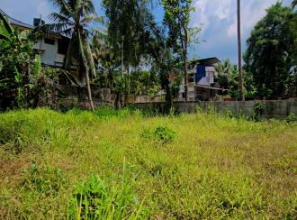 Residential Land for Sale in Alleppey, Chengannur, Pandanad, PANDANAD