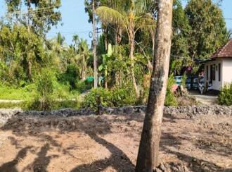 Residential House Villa for Sale in Alleppey, Ambalapuzha, Karumady, Near madathilpadam road