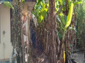 Residential House Villa for Sale in Alleppey, Ambalapuzha, Karumady, Near madathilpadam road