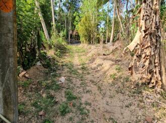 Residential Land for Sale in Trivandrum, Vizhinjam, Vizhinjam, Kattachalkuzhy Coconut Research Station