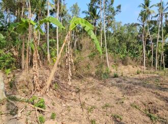 Residential Land for Sale in Trivandrum, Vizhinjam, Vizhinjam, Kattachalkuzhy Coconut Research Station