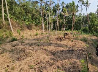 Residential Land for Sale in Trivandrum, Vizhinjam, Vizhinjam, Kattachalkuzhy Coconut Research Station
