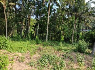 Residential Land for Sale in Trivandrum, Vizhinjam, Vizhinjam, Kattachalkuzhy Coconut Research Station