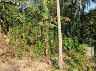 Residential Land for Sale in Trivandrum, Vizhinjam, Vizhinjam, Kattachalkuzhy Coconut Research Station