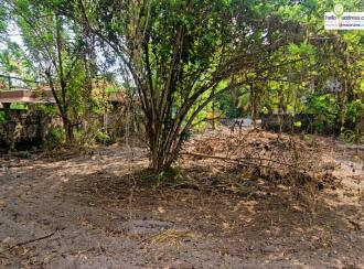 Residential Land for Sale in Alleppey, Alappuzha, Town, Near to Camelot Convention Center, NH-66 Pathirappally