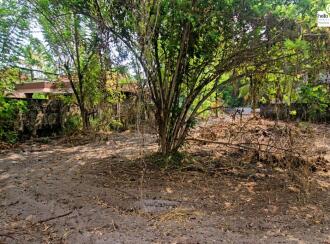 Residential Land for Sale in Alleppey, Alappuzha, Town, Near to Camelot Convention Center, NH-66 Pathirappally