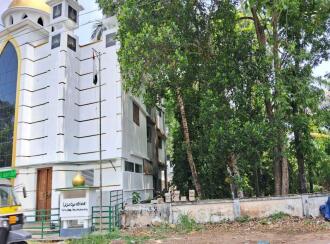 Residential Land for Sale in Thrissur, Mala, Annamanada, Near edayattor Mosque