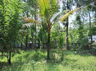 Residential Land for Sale in Thrissur, Mala, Annamanada, Near edayattor Mosque