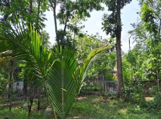 Residential Land for Sale in Thrissur, Mala, Annamanada, Near edayattor Mosque