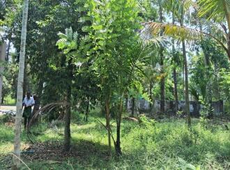 Residential Land for Sale in Thrissur, Mala, Annamanada, Near edayattor Mosque
