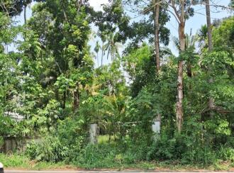Residential Land for Sale in Thrissur, Mala, Annamanada, Near edayattor Mosque
