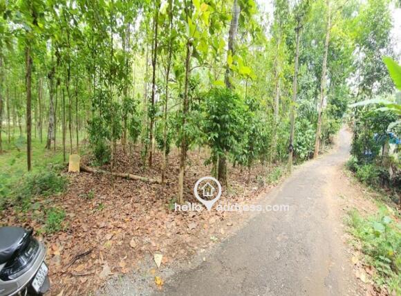 Agricultural Land for Sale