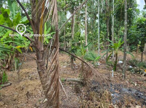 Commercial Land for Sale
