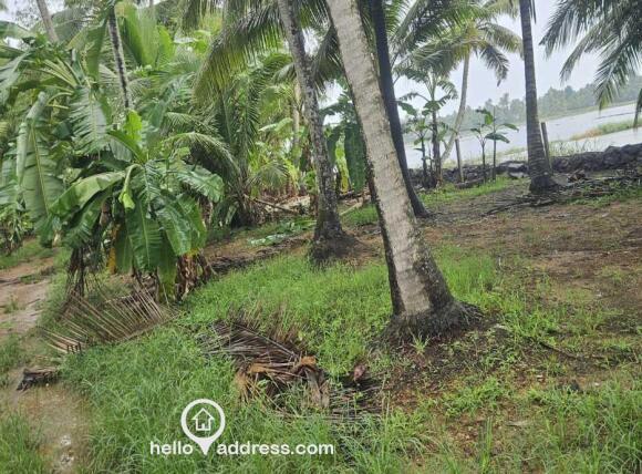 Agricultural Land for Sale