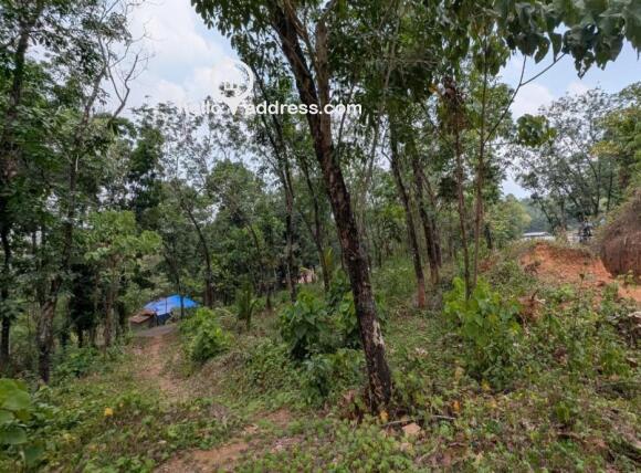 Agricultural Land for Sale