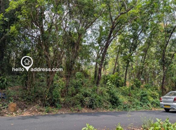 Agricultural Land for Sale