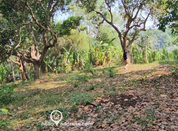 Residential Land for Sale